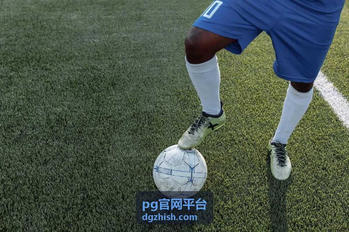 pg官网平台企业用户头像