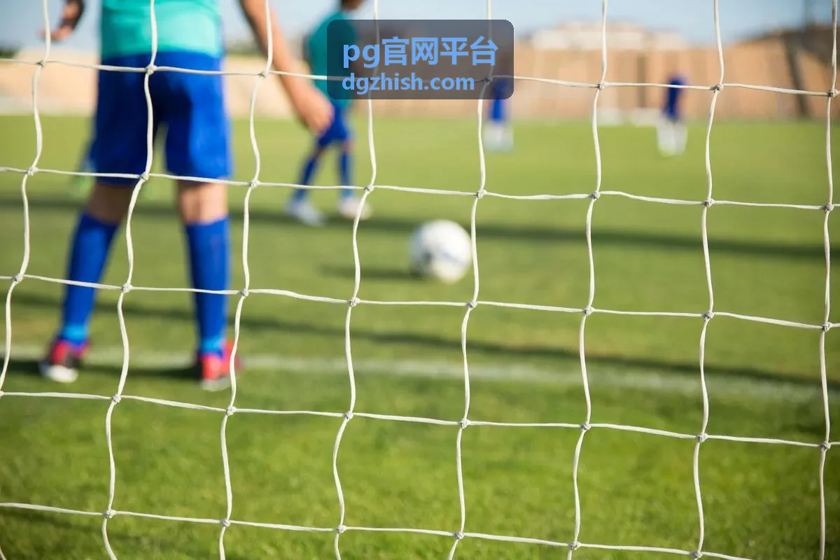 pg官网平台权限角色与事务记录说明配图